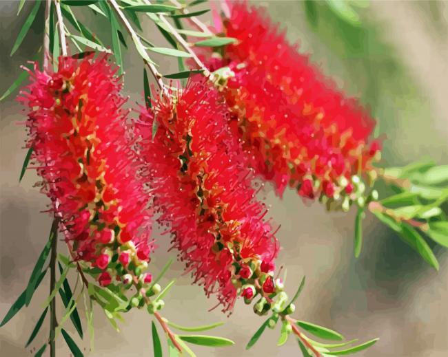 Bottlebrushes In A Branch paint by number