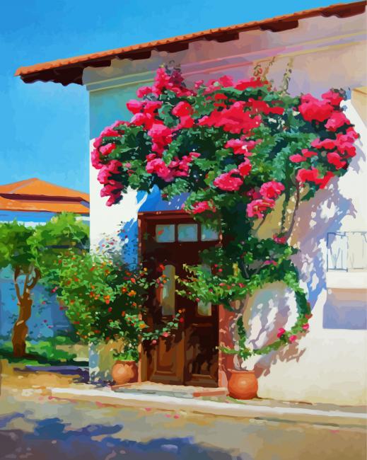 Bougainvillea House paint by number