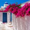 Bougainvillea Flowers paint by numbers