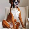 Boxer Dog paint by number