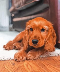 Brown English Cocker Spaniel paint by numbers