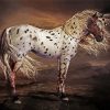 Brown Appaloosa Horse Art paint by numbers
