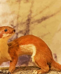 Brown Stoat Weasel paint by numbers