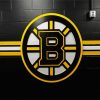Bruins Ice Hockey Leam Logo paint by numbers