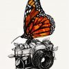 Butterfly On Camera paint by numbers