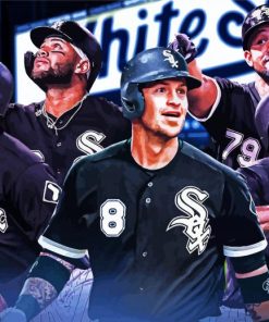 Chicago White Sox Team paint by numbers
