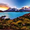 Chile Nature Landscape paint by numbers