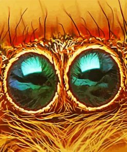 Close UP Spider Eye paint by numbers