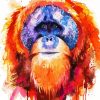 Colroful Orangutan Art paint by numbers