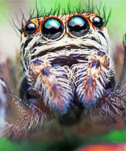 Cute Spider Insect paint by numbers