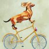 Cyclist Dachshund paint by number