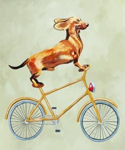 Cyclist Dachshund paint by number