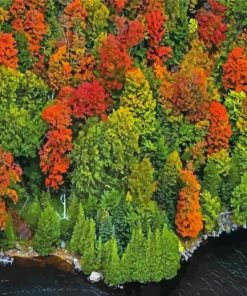 England Fall Foliage paint by number