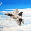 F22 Raptor Aircraft paint by numbers