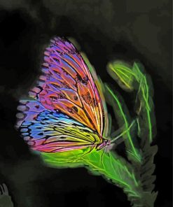 Fantasy Butterfly paint by numbers