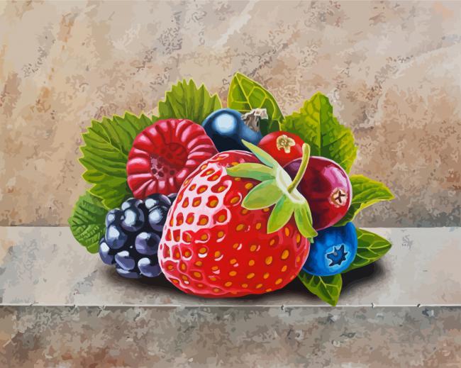 Fresh Berries Fruits paint by numbers