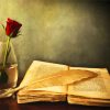 Glass Rose And Vintage Book paint by numbers