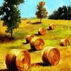 Golden ABy Bales paint by number