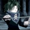 Hunter X Hunter Feitan paint by numbers