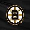 Ice Hockey Bruins Logo paint by numbers
