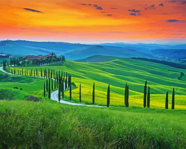 Italy Tuscany Cypress Trees paint by number