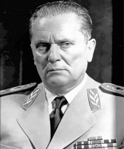 Josip Broz Tito paint by number