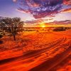 Kalahari Desert At Sunset paint by number