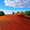 Kalahari Desert Landscape paint by number
