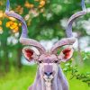 Cute Kudu Animal paint by numbers