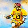Lacrosse Player paint by number