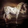 Leopard Appaloosa Horse paint by number