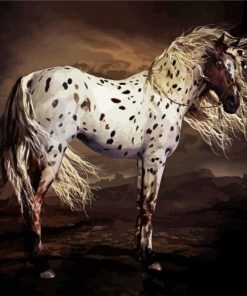 Leopard Appaloosa Horse paint by number
