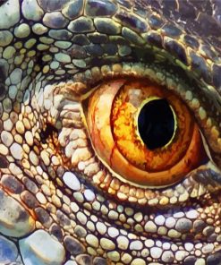 Lizard Eye paint by number