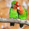 Lovely Lovebirds paint by number