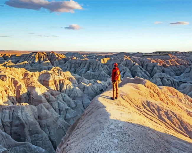 Man On The Top Of Badlands National Park paint by number