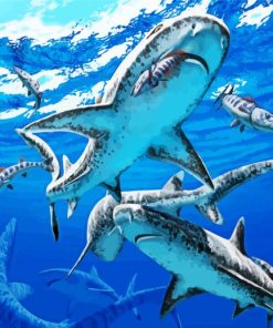 Megalodon sharks paint by numbers