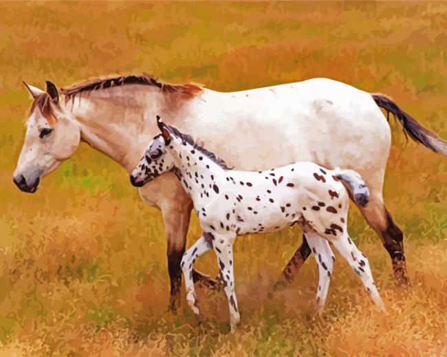Mother And Little Appaloosa paint by numbers