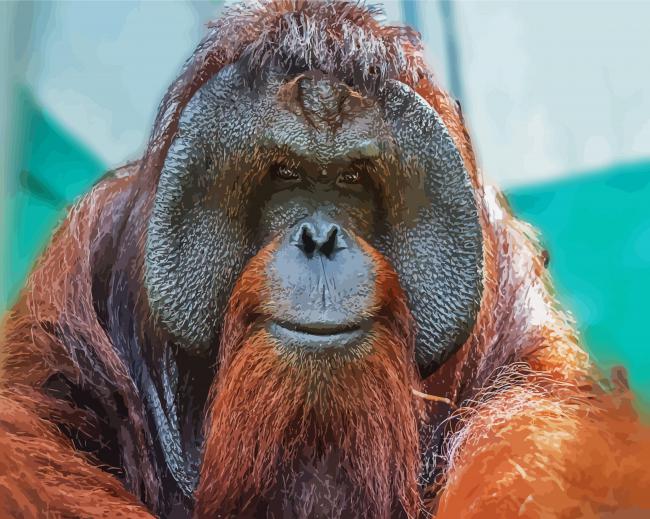 Cute Orangutan Monkey paint by number