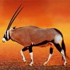 Brown Oryx Animal paint by numbers