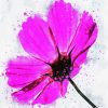 Pink Cosmos Art paint by number