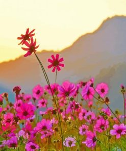 Pink Flower Meadow paint by number
