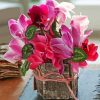 Pink Cyclamen Flowers paint by numbers