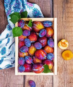 Plums Fruit paint by numbers