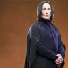 Harry Potter Professor Severus Snape paint by numbers