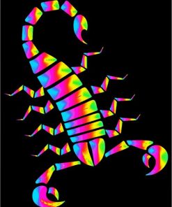 Rainbow Scorpion paint by number