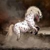 Rearing Appaloosa Horse paint by number