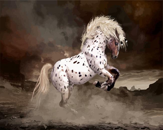 Rearing Appaloosa Horse paint by number