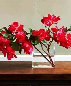 Red Bougainvillea paint by number