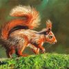 Red Squirrel On Branch paint by number