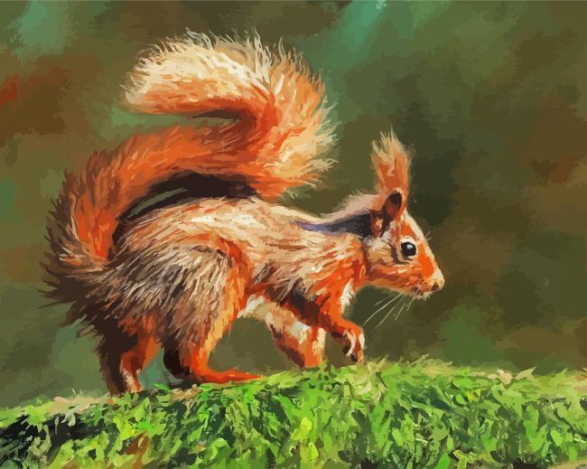 Red Squirrel On Branch paint by number